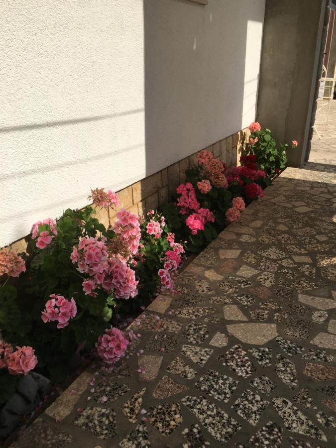 Studio Apartman Jojo Apartment Senj  Exterior photo